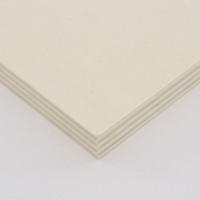 Basic Madera | relacionados | Retal Outlet | Retal Contrachapado de Chopo (imagen 3)