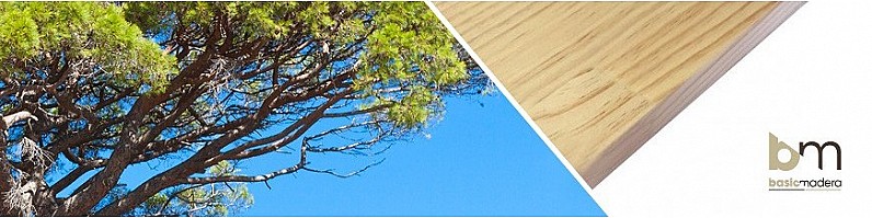 Basic Madera | Categoria Pino