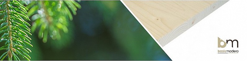 Basic Madera | Categoria Abeto