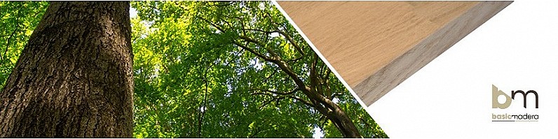 Basic Madera | Categoria Roble