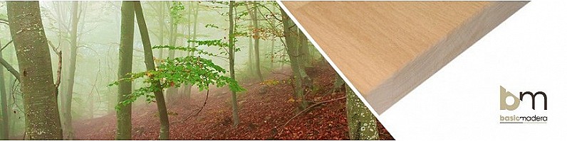 Basic Madera | Categoria Haya