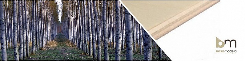 Basic Madera | Categoria Chopo