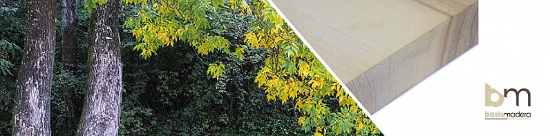 Basic Madera | Categoria Fresno
