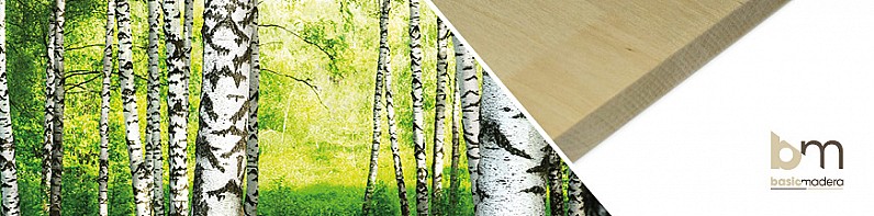 Basic Madera | Categoria Abedul